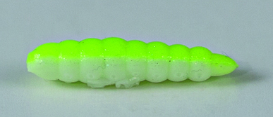 LARVA DEL MIELE 25 mm Ø 5.5 mm in file da 6 (Col. BIANCO - CHARTREUSE) 54 pezzi